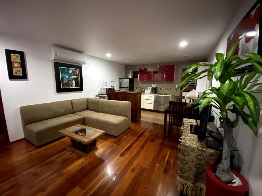 Coras'S Place 巴卡拉尔 外观 照片